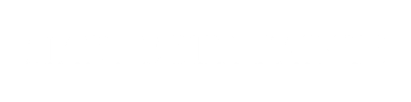 Blank white rectangle with a thin gray border at the top and bottom edges