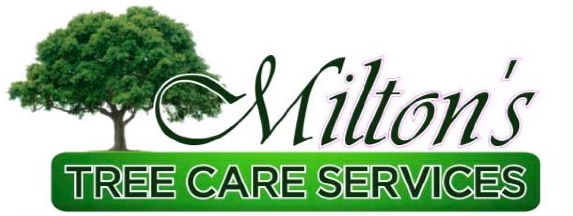 Tree service company serving Upper Marlboro, MD and surrounding areas