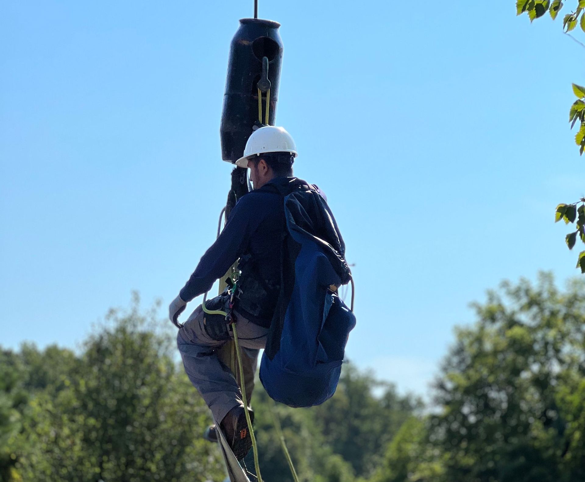 An image of Tree Pruning in Upper Marlboro MD