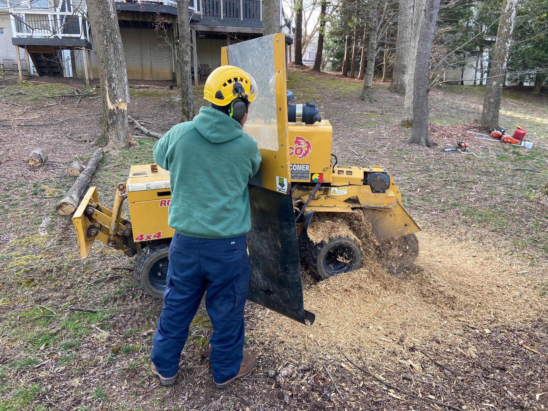An image of Stump Removal & Grinding in Upper Marlboro MD