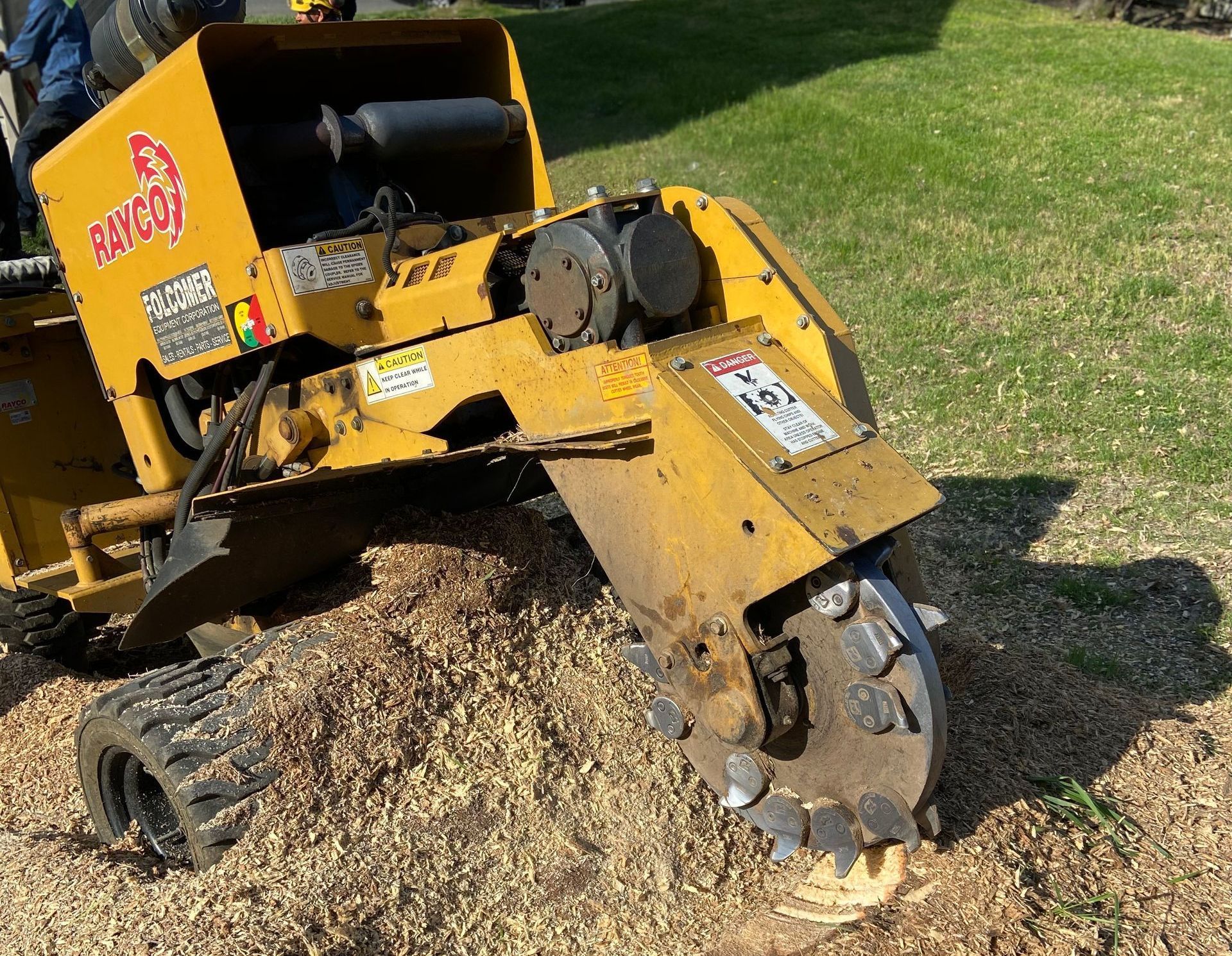 An image of Stump Removal & Grinding in Upper Marlboro MD