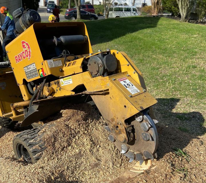 An image of stump removal and grinding services in Upper Marlboro, MD