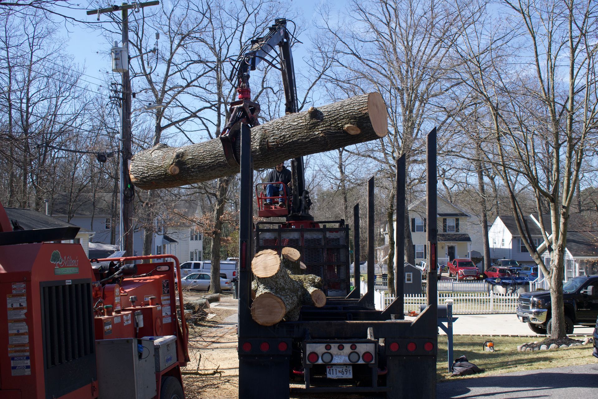 An image of Tree Removal in Upper Marlboro MD