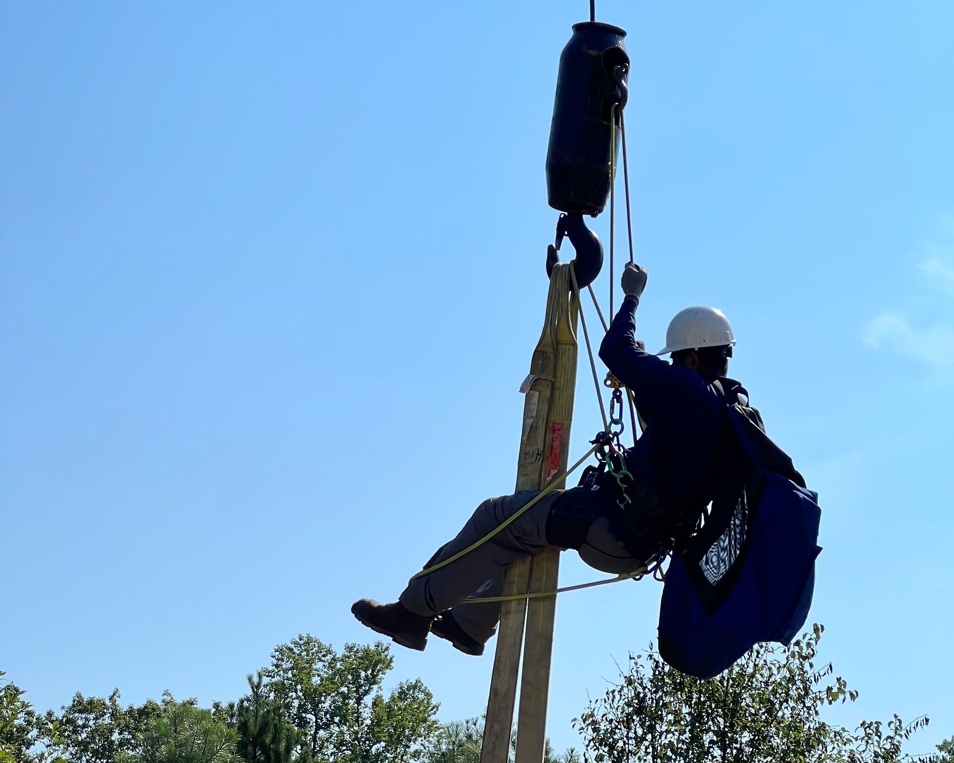 An image of Professional Arborist Tree Doctor in Upper Marlboro MD