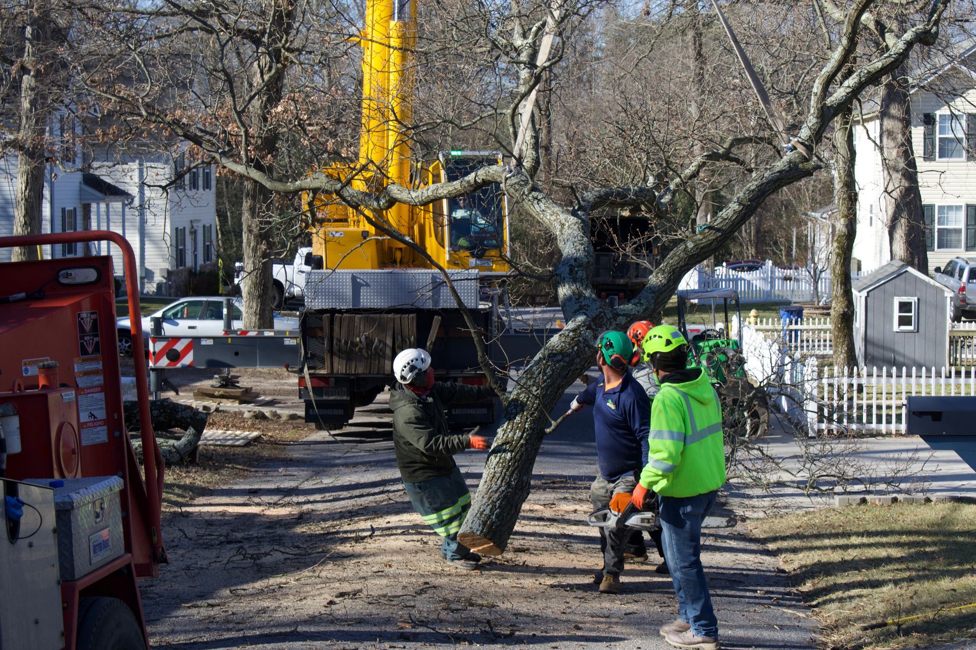 An image of Tree Removal in Upper Marlboro MD