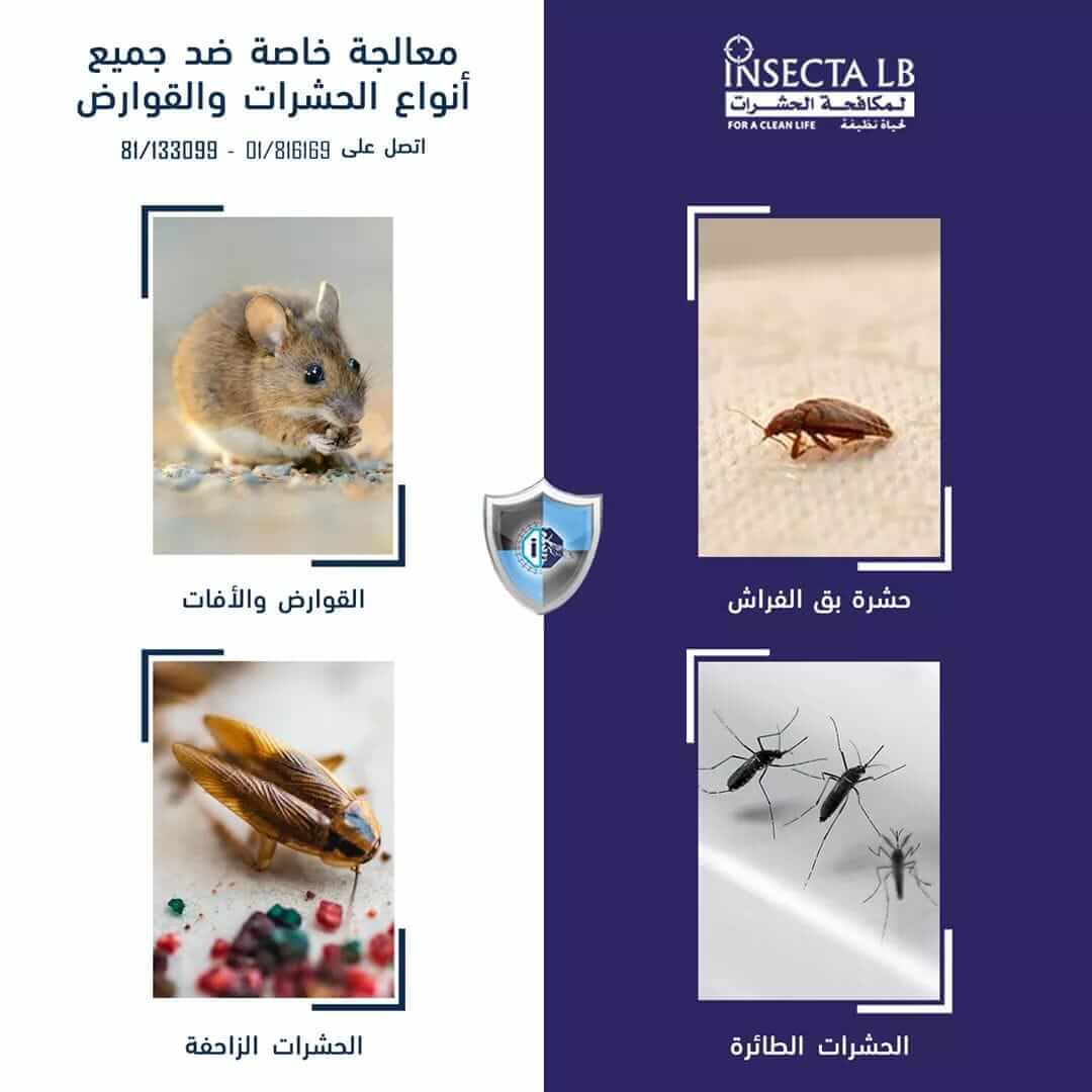 إعلان لمكافحة الحشرات والقوارض. يعرض رسومًا توضيحية للفئران، وبق الفراش، والصراصير، والبعوض. نص عربي.