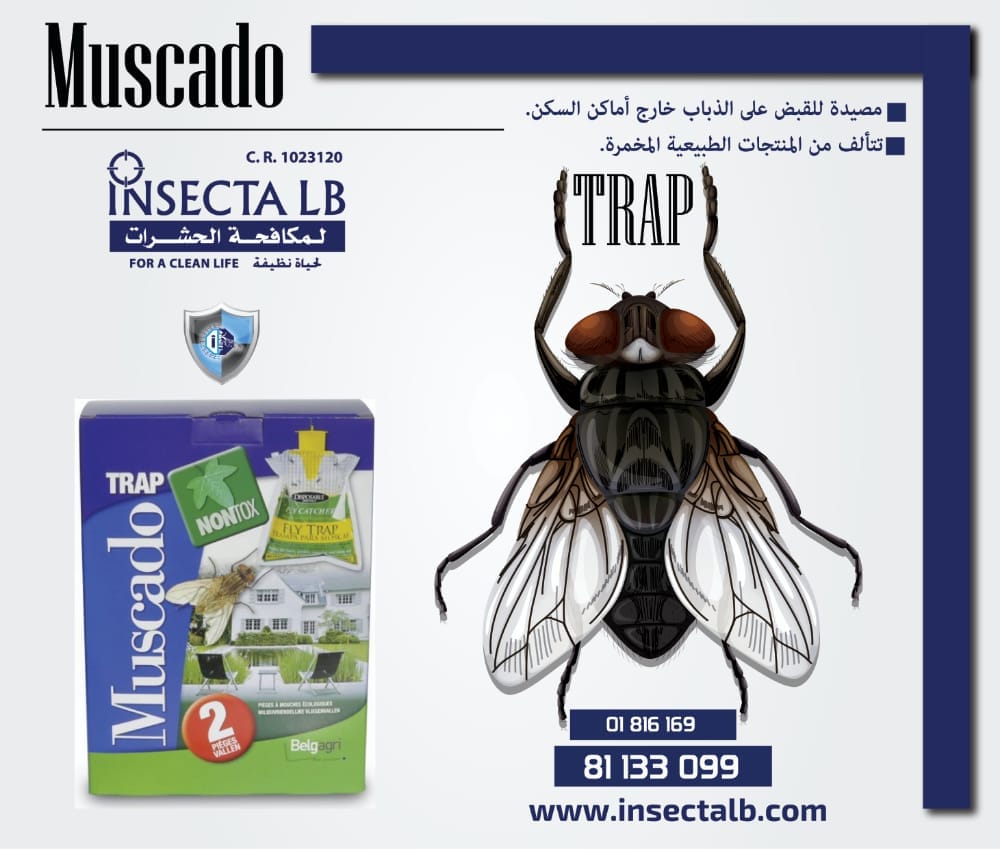 Advertisement for Muscado fly trap. A blue box product next to a large illustration of a fly.