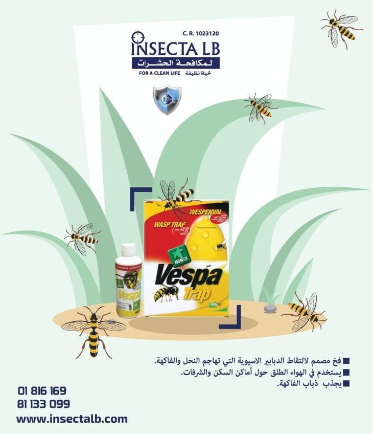 Advertisement for Insecta LB featuring Vespa insecticide. Depicts wasps, product packaging, and text in Arabic.