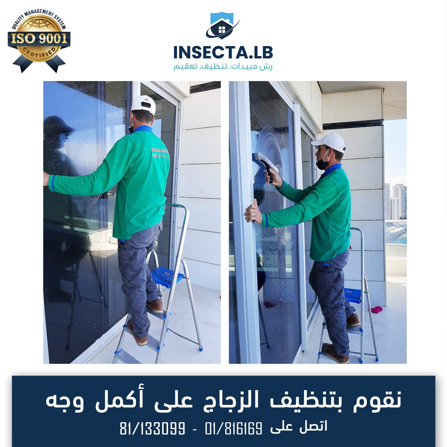 Two men cleaning glass windows; green shirts, ladder, outside setting.