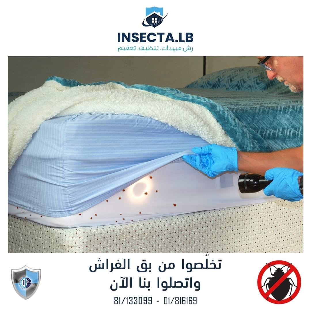 شخص يفحص السرير بحثًا عن بق الفراش بمصباح يدوي. فراش أبيض ومرتبة. نص وشعار باللغة العربية.