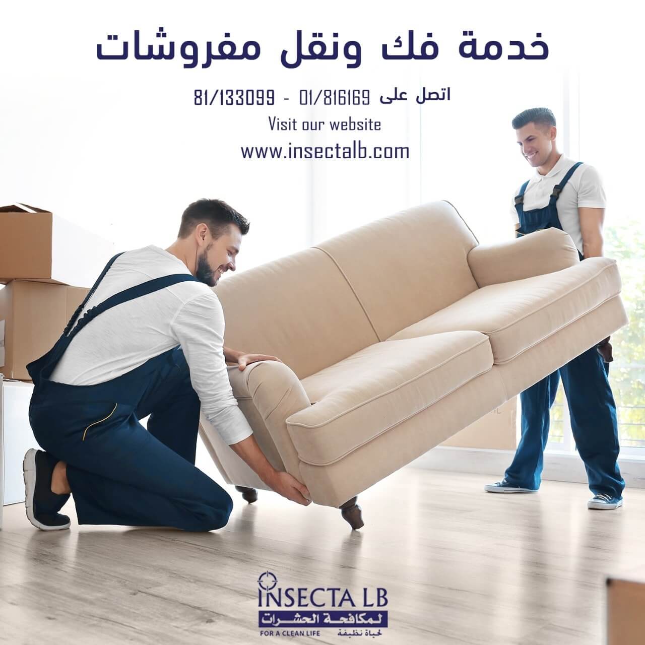 Two men in overalls lift a beige couch, advertising furniture moving services.