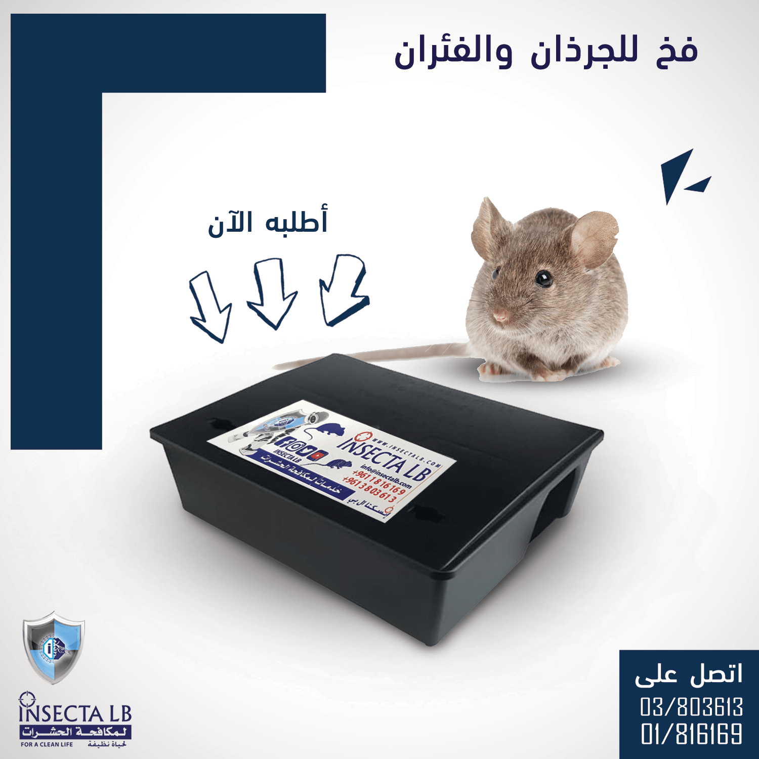 Advertisement for a mouse trap with a picture of a mouse, trap, and Arabic text. Arrows point to a mouse trap.
