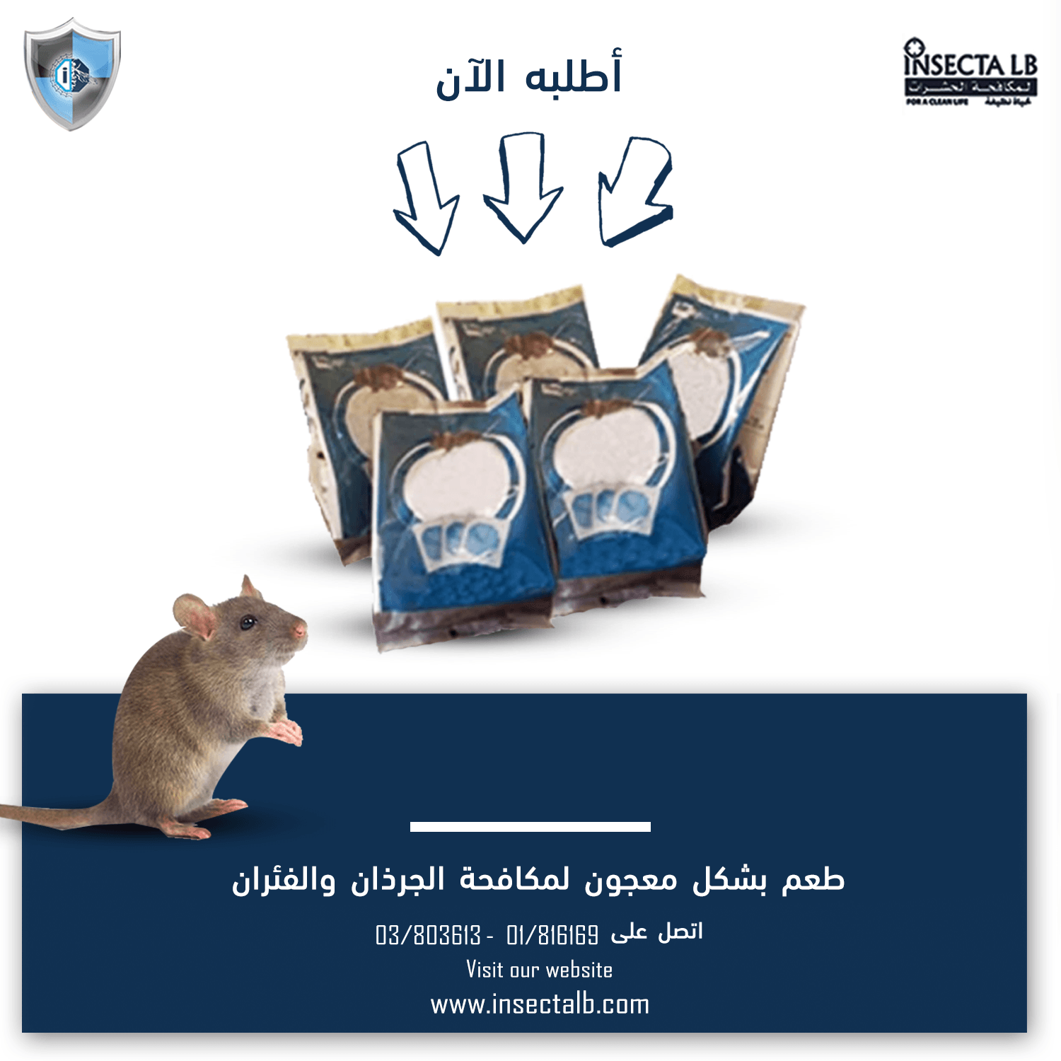 Mouse next to packets of rodent poison, Arabic text advertising the product.