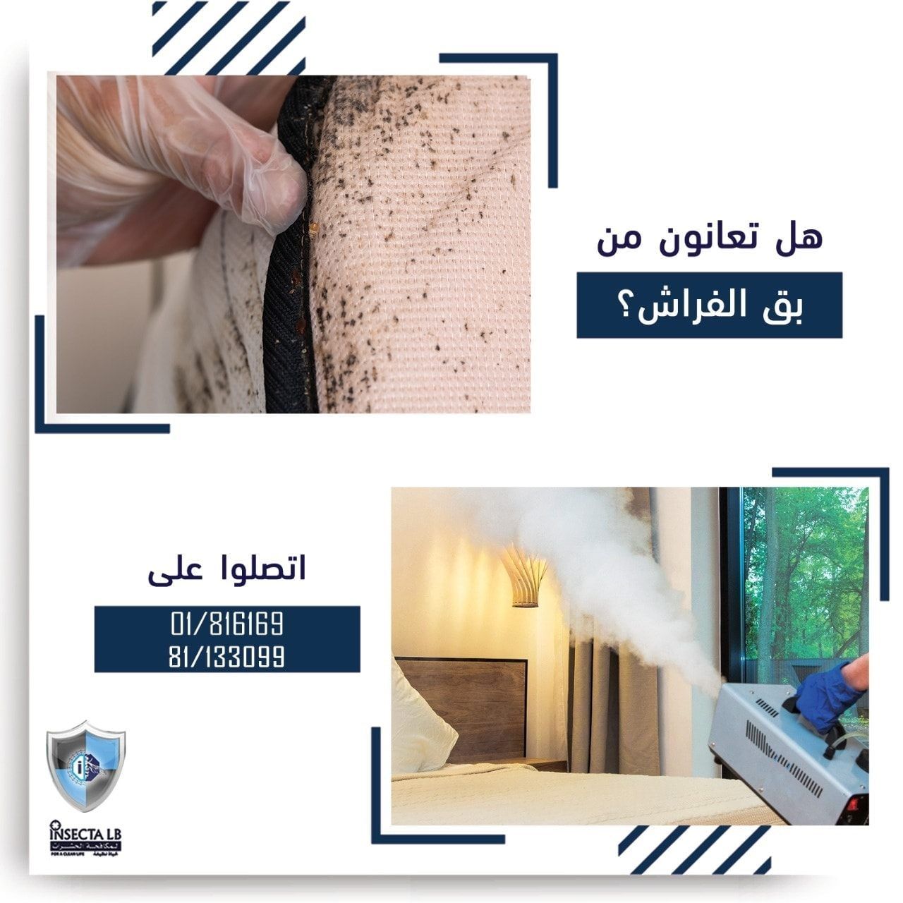 إعلان عن مكافحة بق الفراش. يُظهر وسادةً مُصابة بالحشرات، وتعقيم الغرفة. نص باللغة العربية مع معلومات الاتصال.