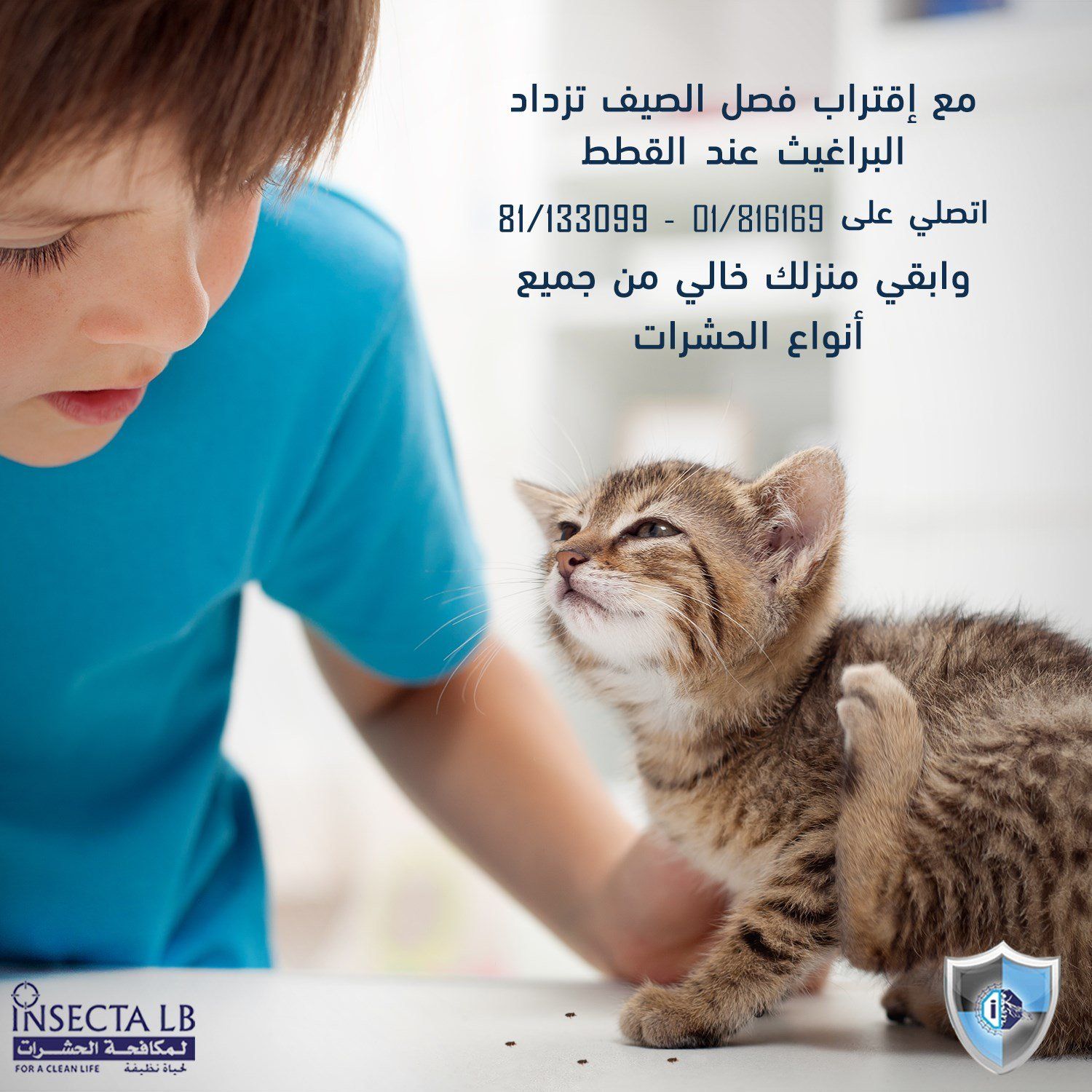 صبي وقط صغير يخدشان، نص باللغة العربية: