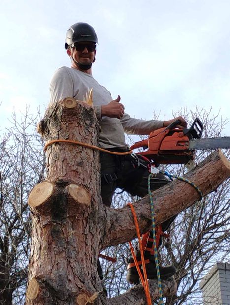A person wearing a helmet and safety gear gives a thumbs up while perched in a tree with a chainsaw.