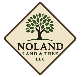Logo for Noland Land & Tree LLC with a dark green tree on a diamond-shaped tan background with a dark brown border.