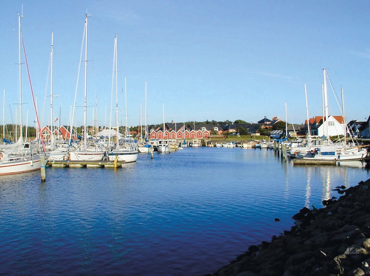 En række sejlbåde ligger til kaj i en havn.