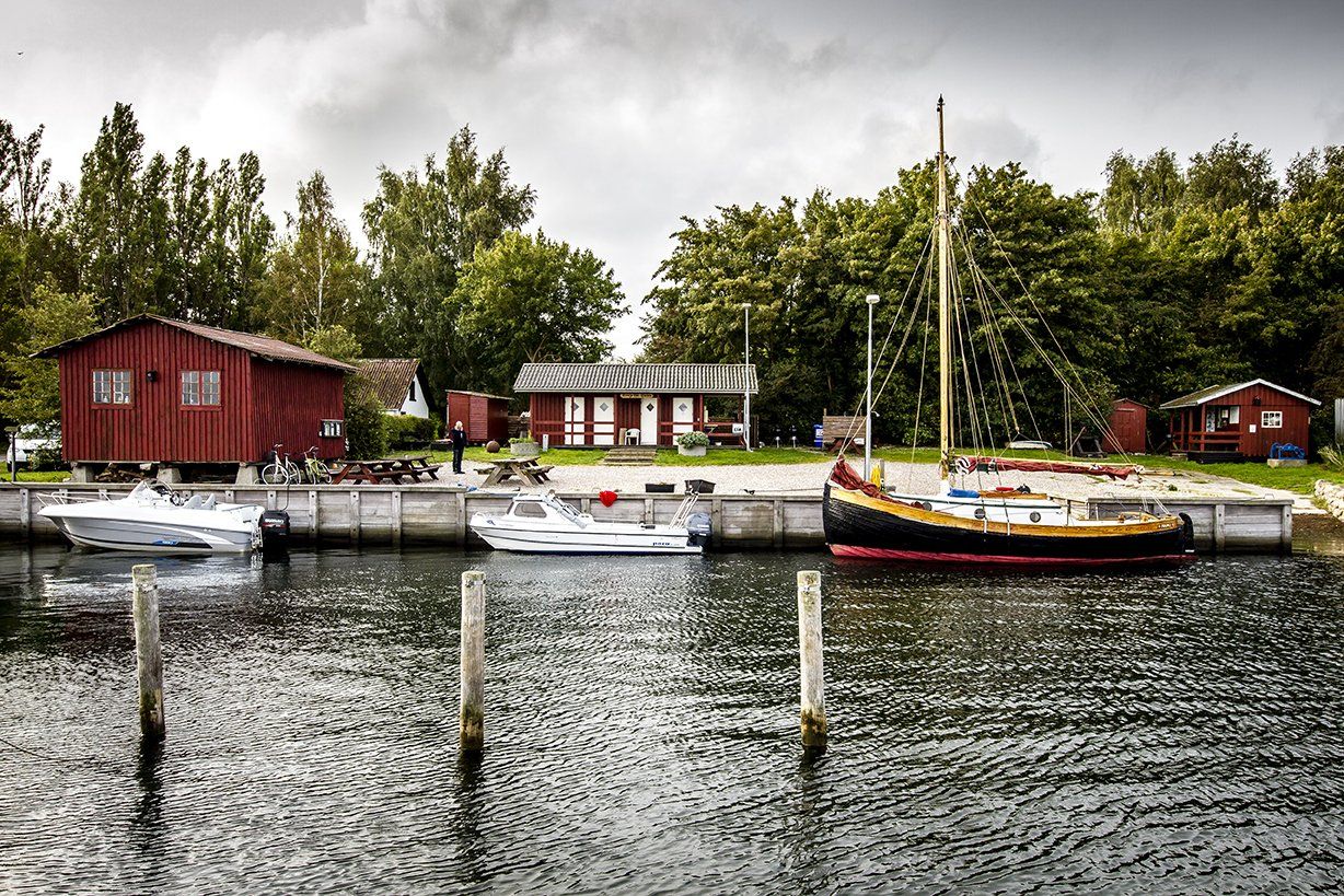 En flok træskilte, der peger i forskellige retninger