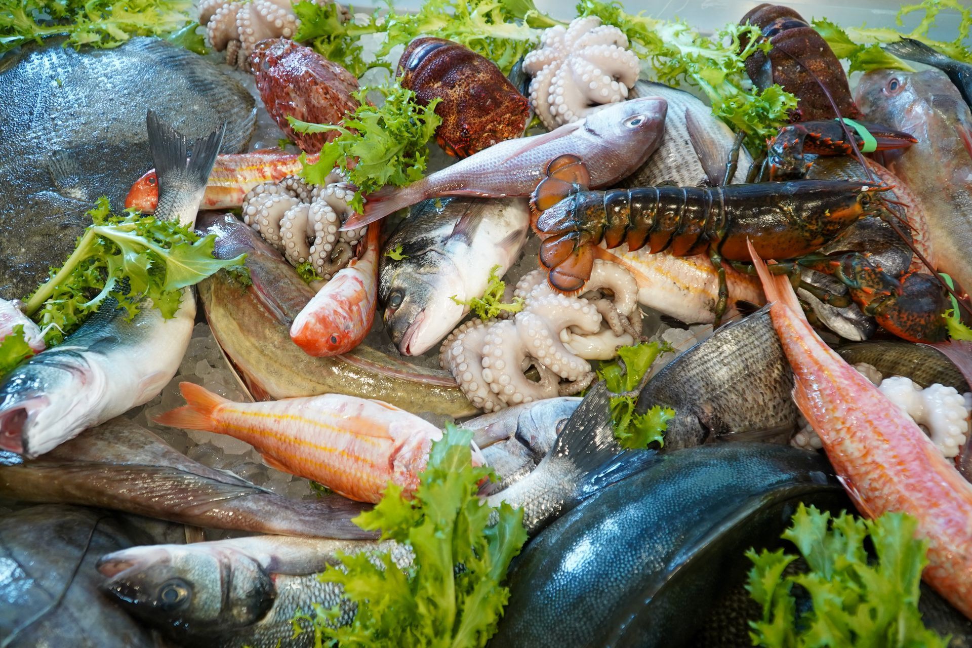 pesce crudo