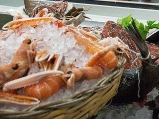 crudo di mare