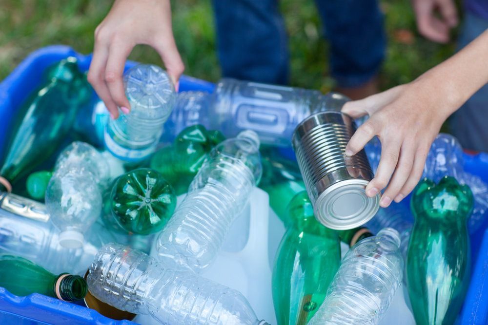 waste recycling — Waste Disposal in Murwillumbah, NSW
