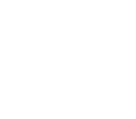 SPPM icon
