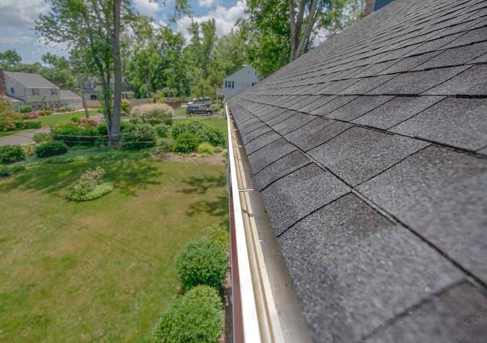 Gutter Cleaning