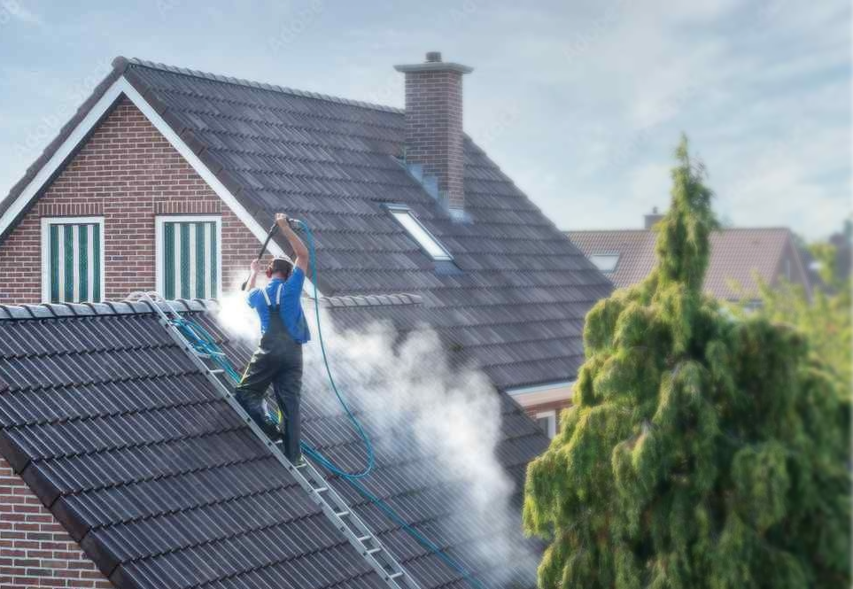Roof Cleaning