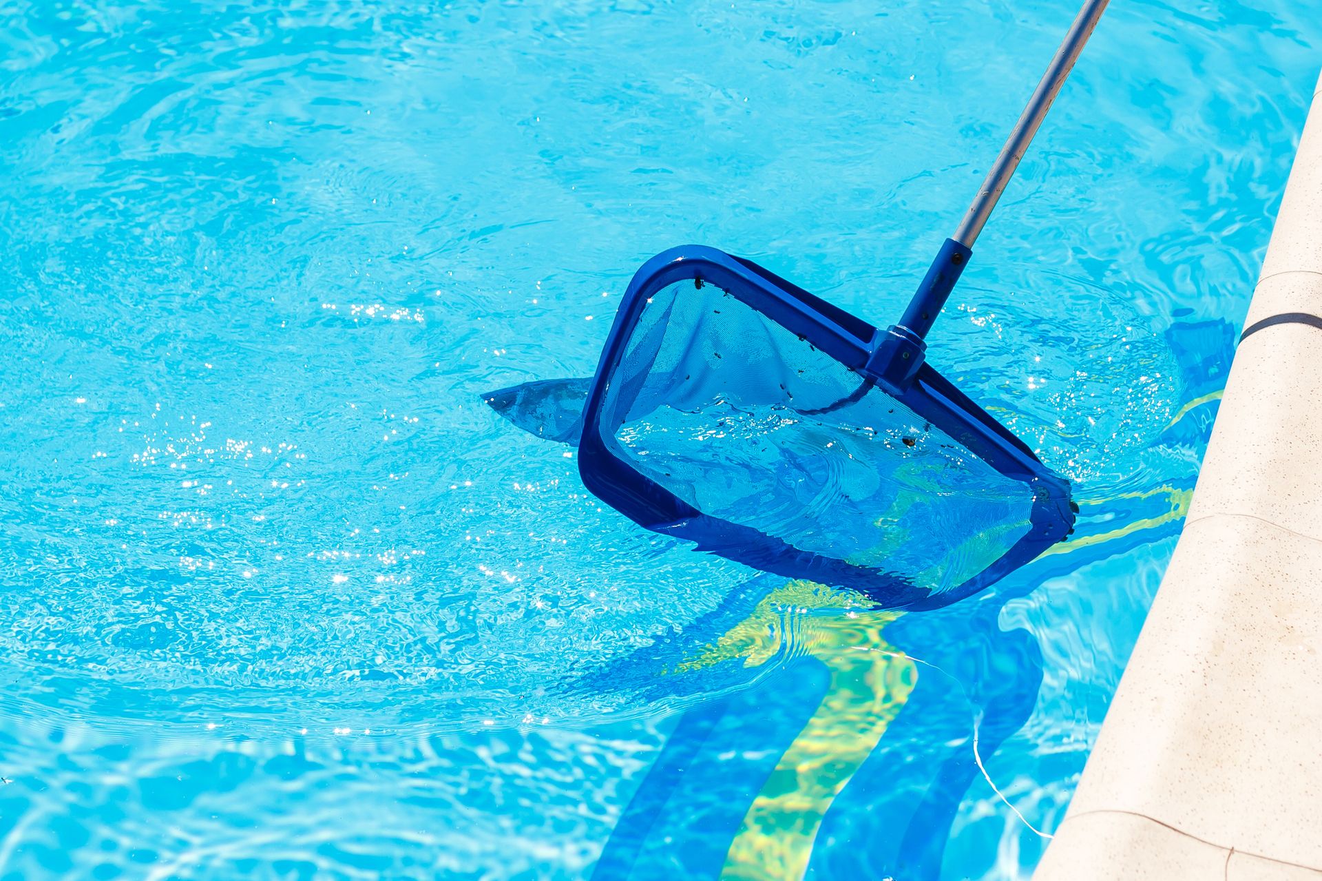 Person using a net to scoop debris from a bright blue swimming pool.