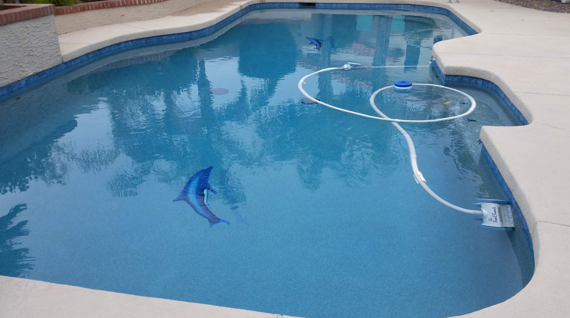 A large swimming pool with a dolphin in the middle of it.