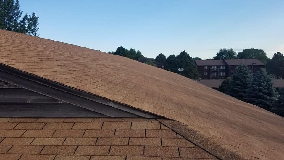 Sloped shingle roof with a dark ridge and trees in the background