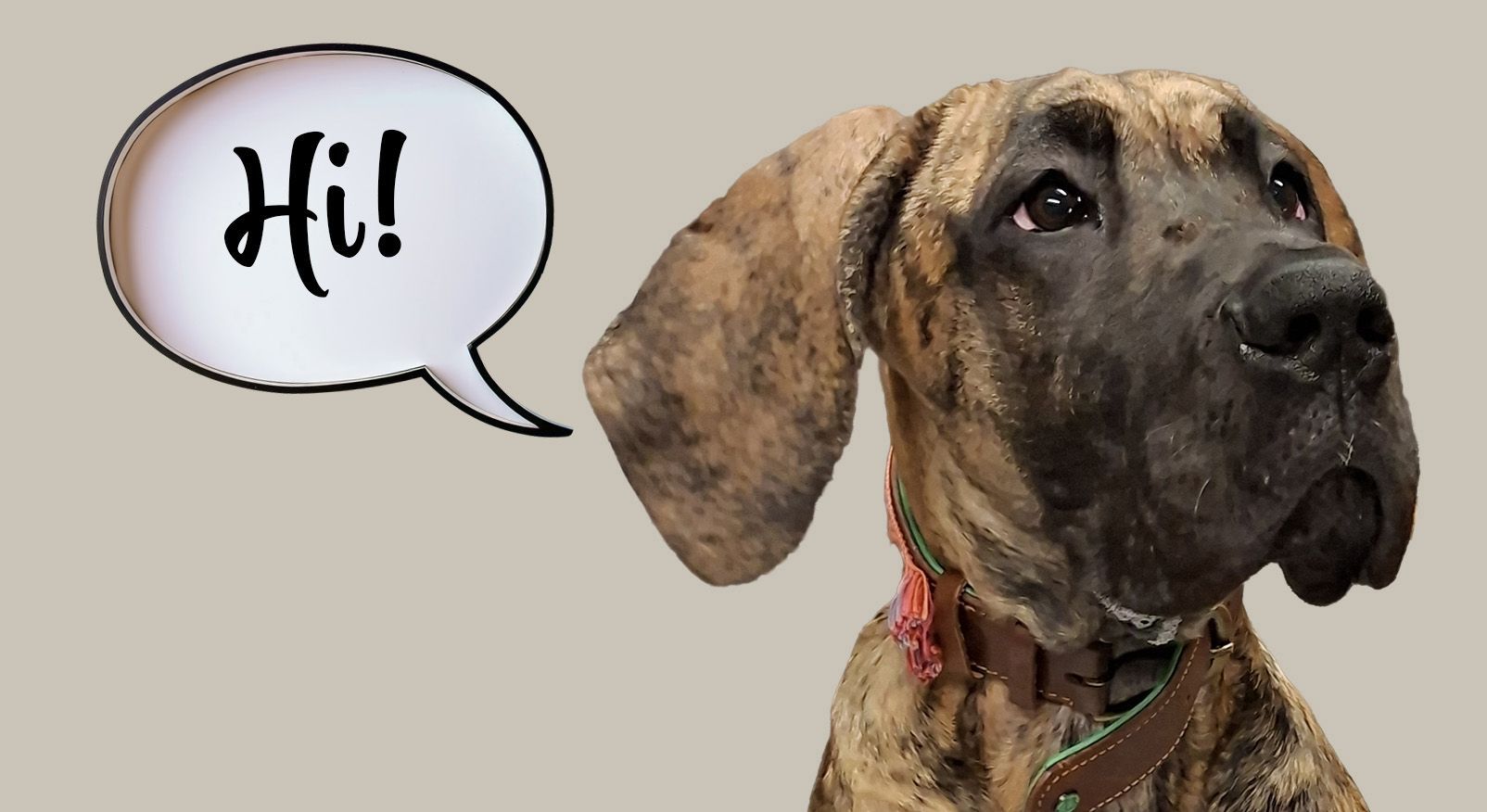 Gestreepte Deense dog-puppy met een tekstballonnetje waarin staat: 