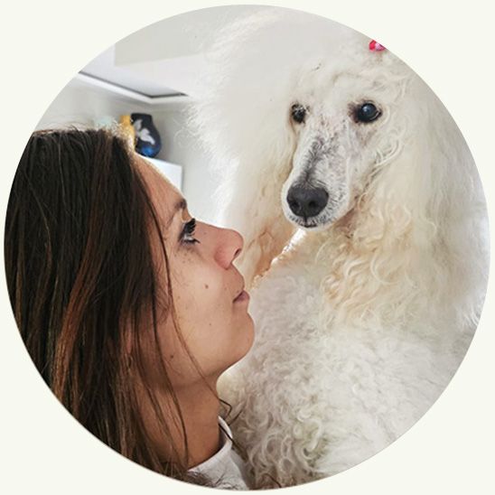 Een vrouw kijkt omhoog naar een pluizige witte poedel, neus aan neus, binnenshuis.