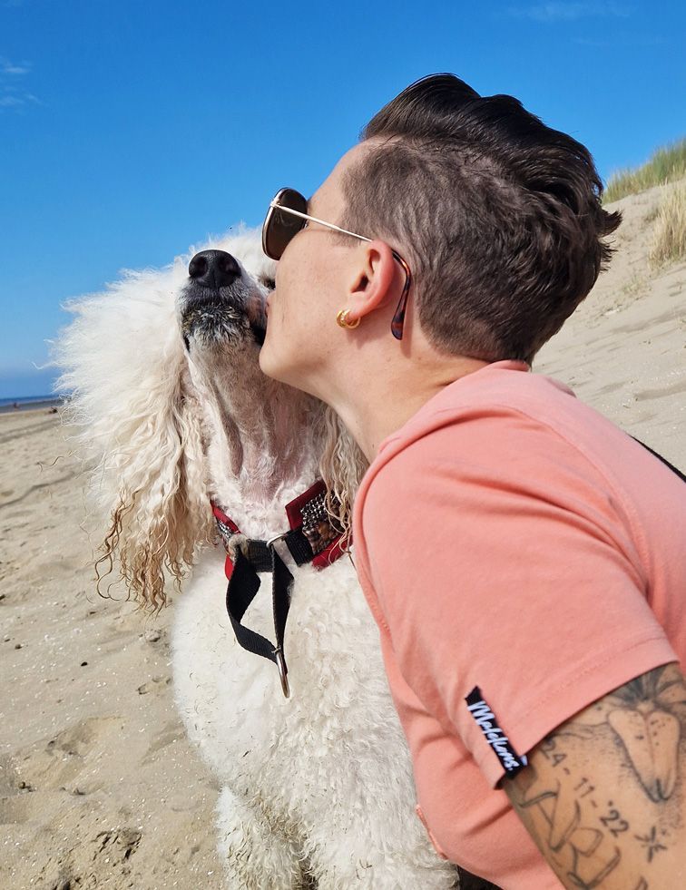 Iemand kust een witte poedel op het strand. Zonnige dag.