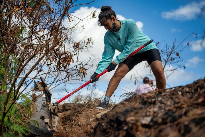 Person using a red rake to clear leaves on a slope under a blue sky