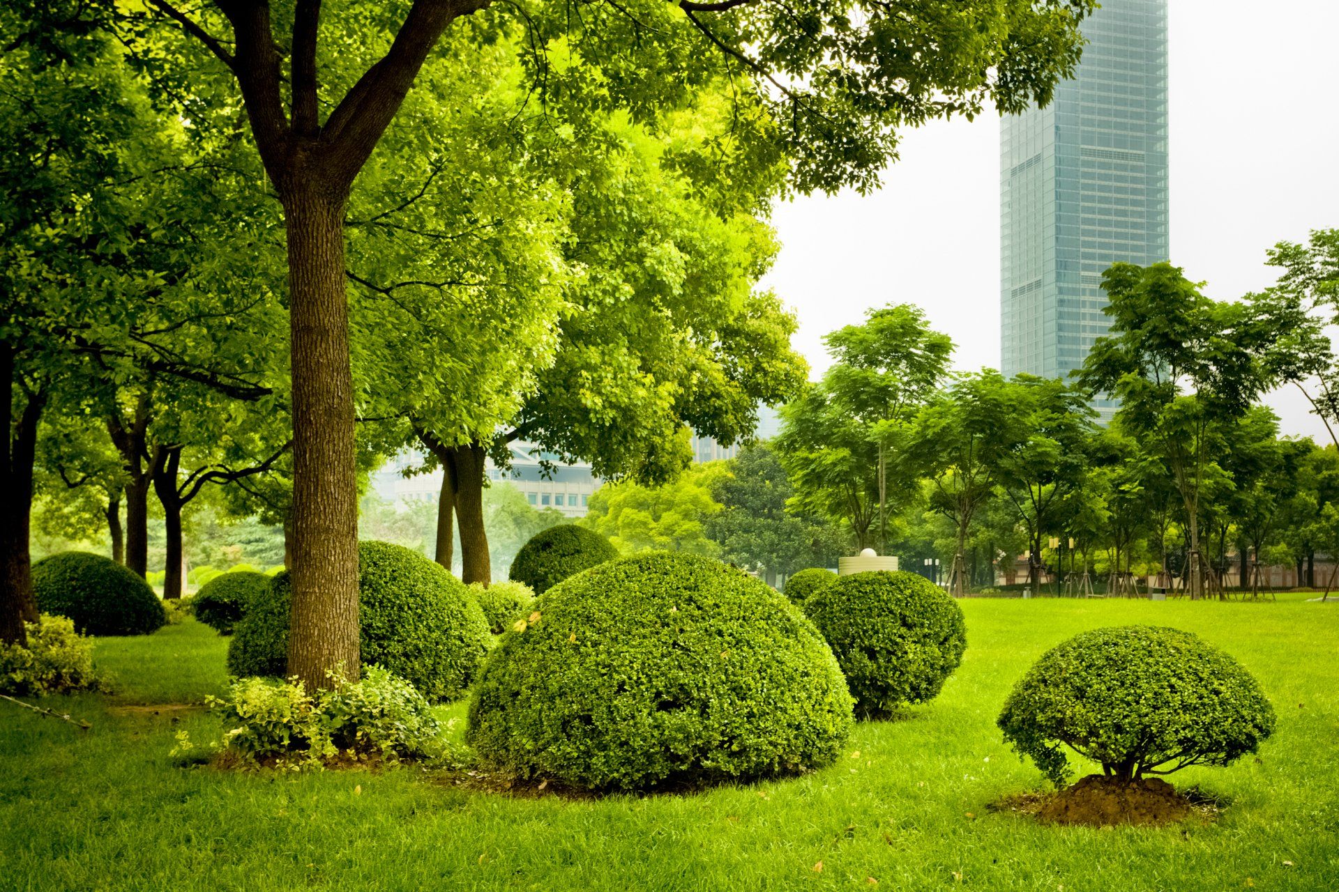 City Garden - San Antonio, TX - Cantu Contracting, Inc.