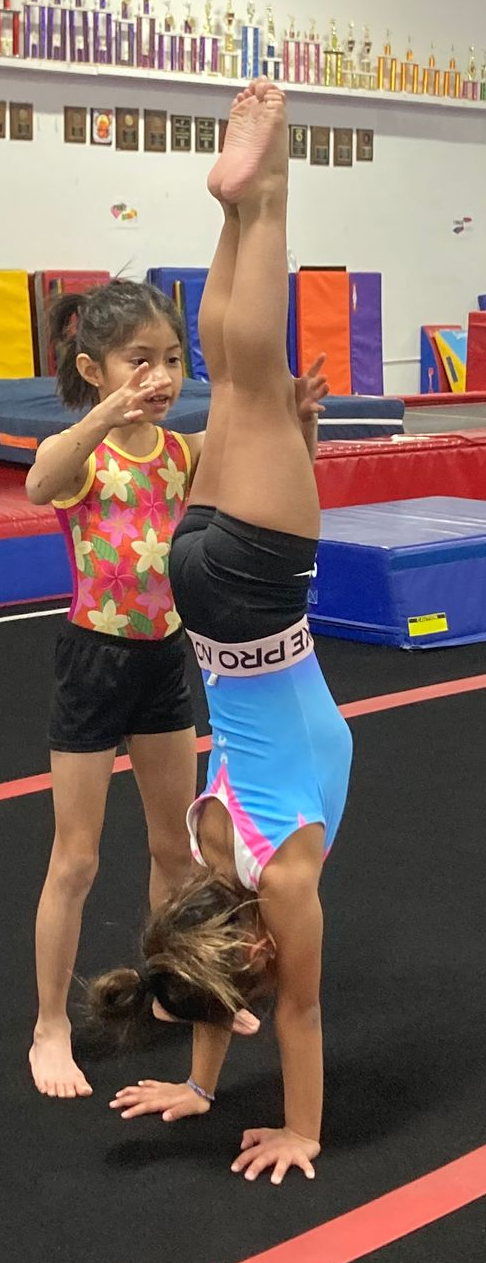 Gymnasts practicing Handstands
