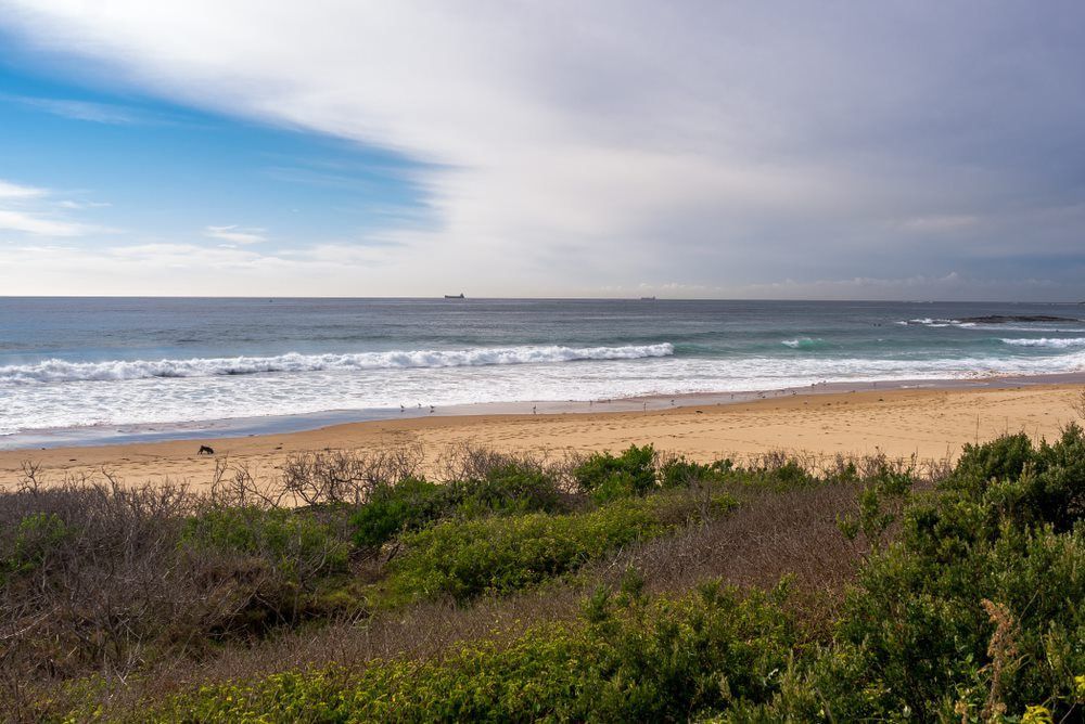 Scenic beach view seen from lush green grass, showcasing the beauty of the coastal landscape — Leak Free Waterproofing in Bulli, NSW