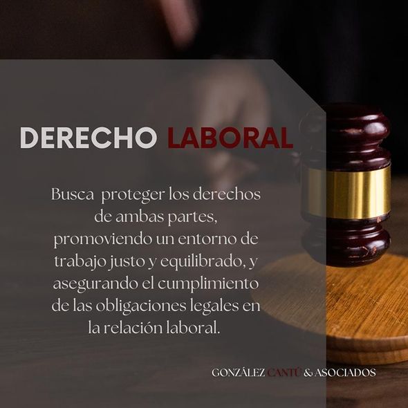 GONZALEZ CANTU ASOCIADOS