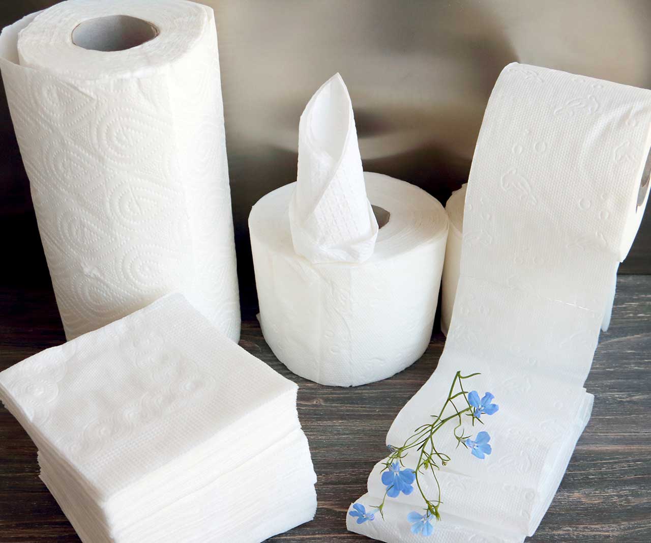 PRO - CLIN ECO - HIGIÉNICOS