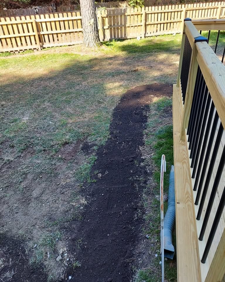 Backyard with patchy grass, a wooden fence, and a sunlit shadow cast across the ground.