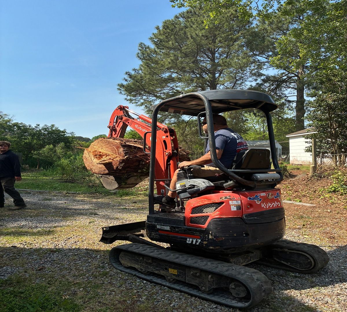 Red mini excavator on tracks lifting a large tree stump in a wooded gravel area.