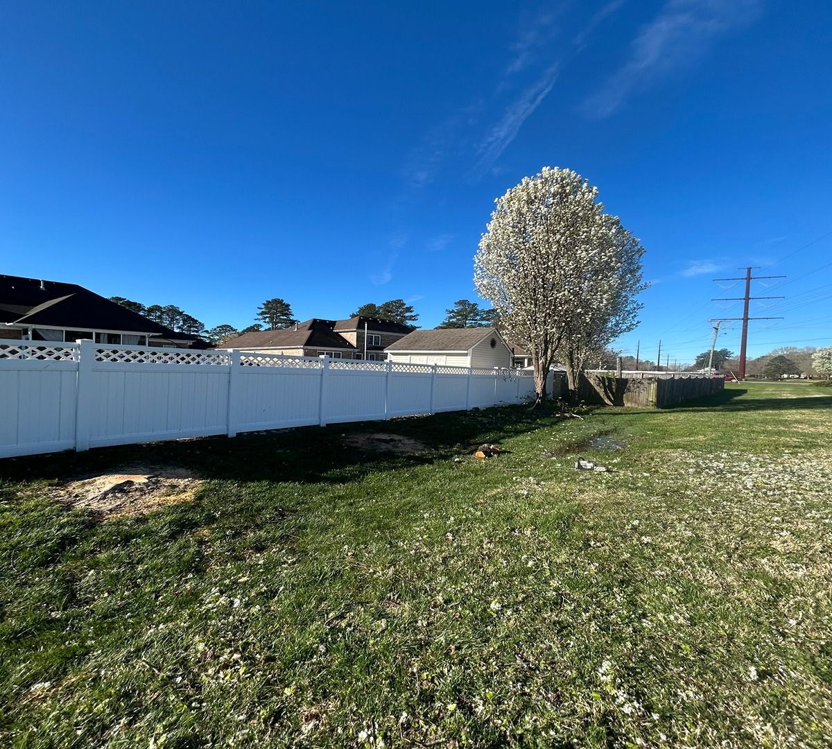 White fence beside a grassy field under a bright blue sky, with a blooming tree and houses in the background