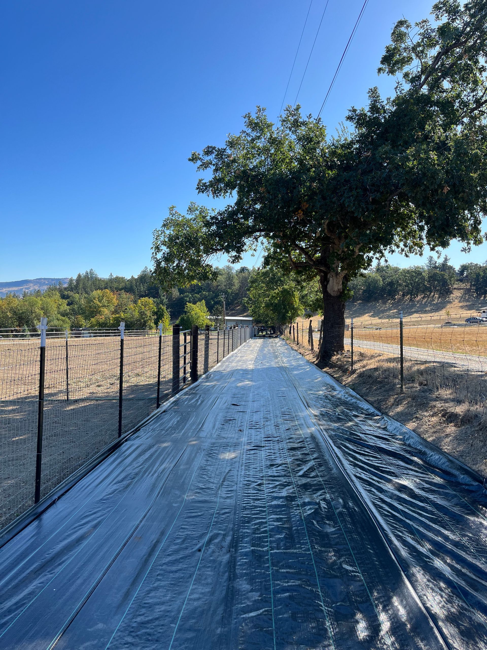 A road with a tree on the side of it