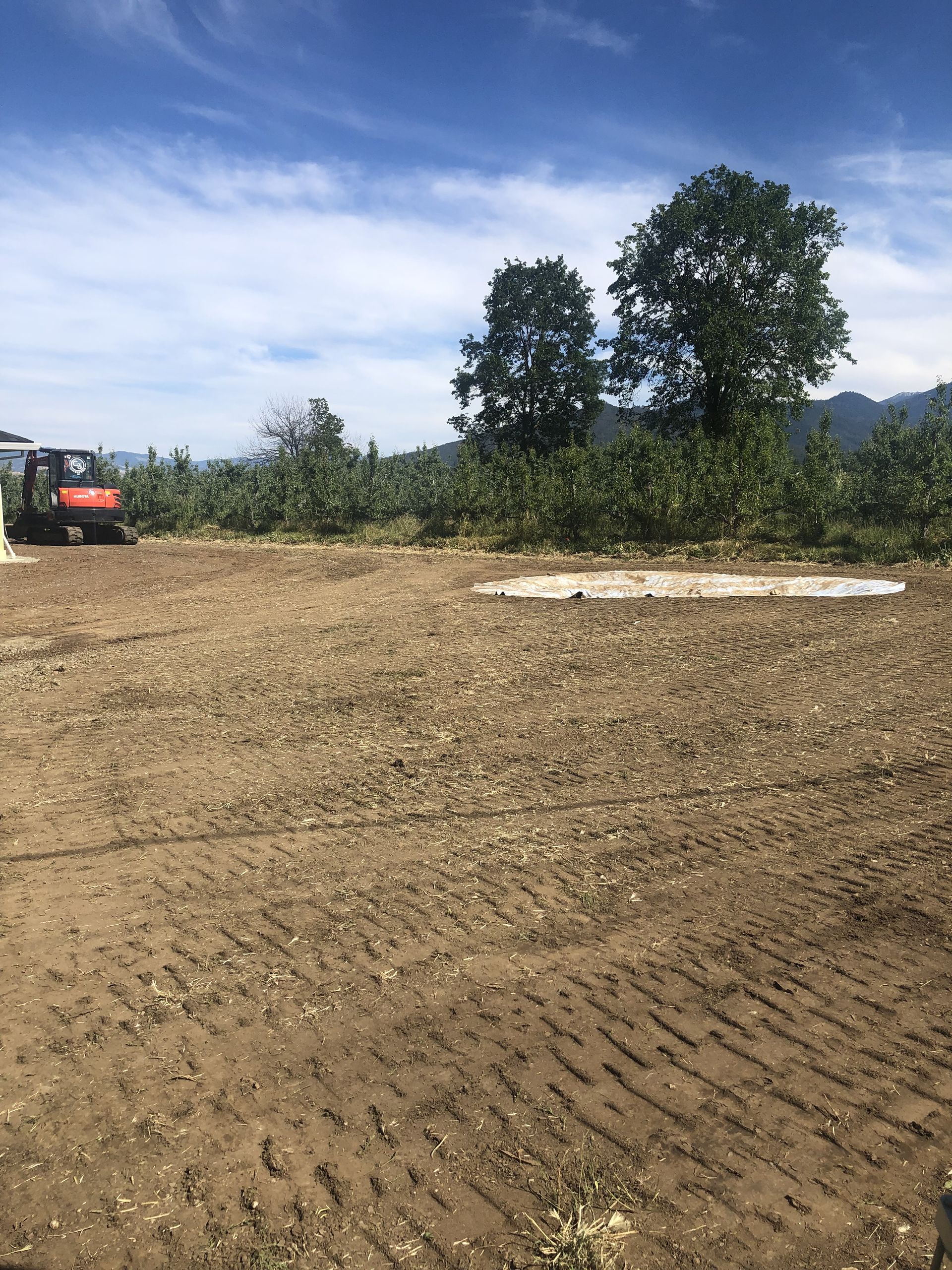A tractor is plowing a dirt field with trees in the background.
