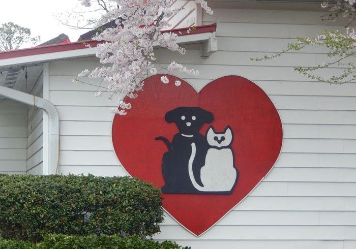 Poster | Marietta, GA | West Marietta & Webb Veterinary Clinics
