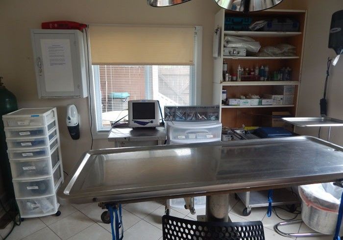 Bed | Marietta, GA | West Marietta & Webb Veterinary Clinics Bed | Marietta, GA | West Marietta & Webb Veterinary Clinics