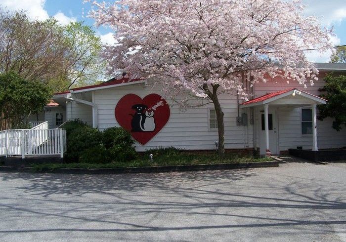 Clinic | Marietta, GA | West Marietta & Webb Veterinary Clinics