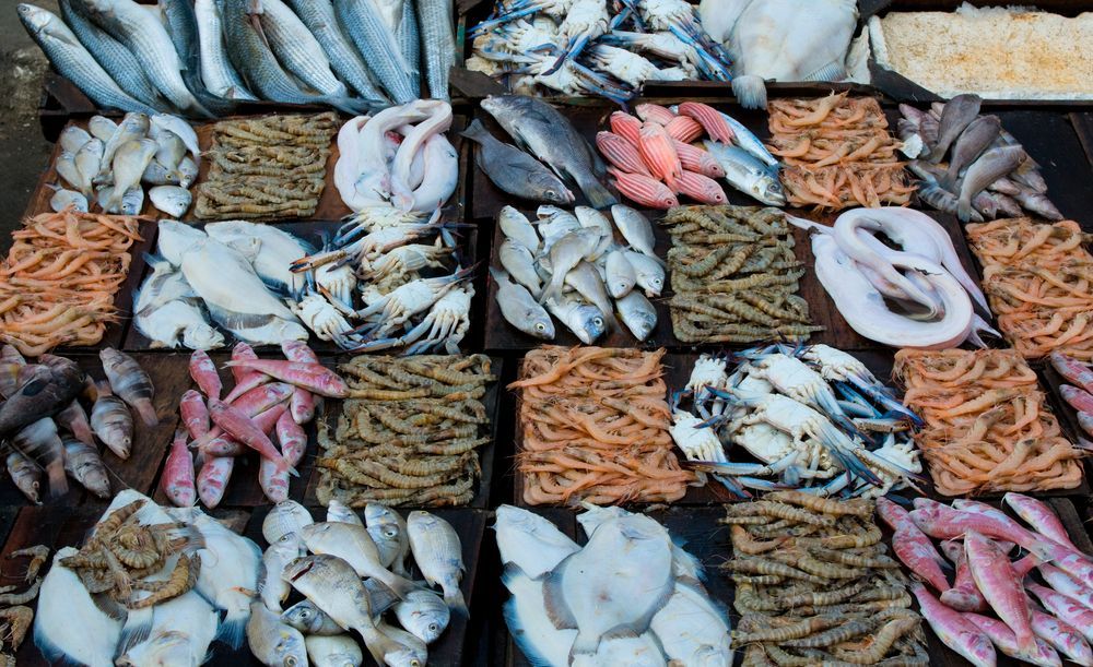 A Variety of Seafood is Displayed on a Table — Scotto's Food Logistics in Mitchell, ACT